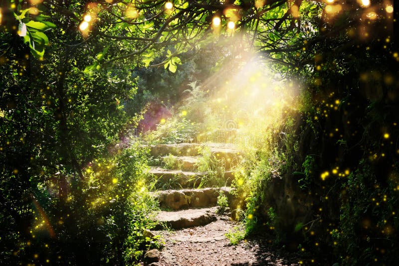 Road and stone stairs in magical and mysterious dark forest with mystical sun light and firefly. Fairy tale concept