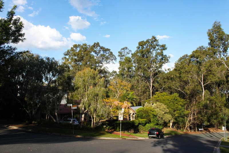 Road through suburban neighborhood near Brisbane Queensland Australia with tall gum trees and houses peeking through the foliage a stock photo Road through suburban neighborhood near Brisbane Queensland Australia with tall gum trees and houses peeking through the foliage a stock photo