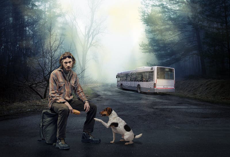 Stanco viaggiatore sul strade caldo il cane mano.