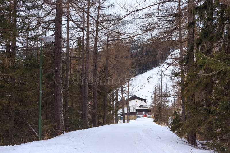 Road to the center of Hrebienok village altitude 1285 m. with High Tatra Mountains on the background.