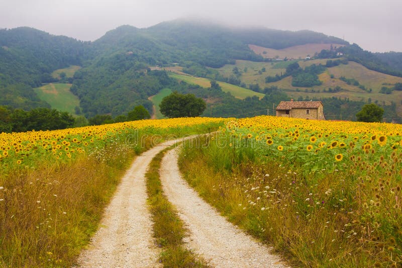 Road to the country cottage