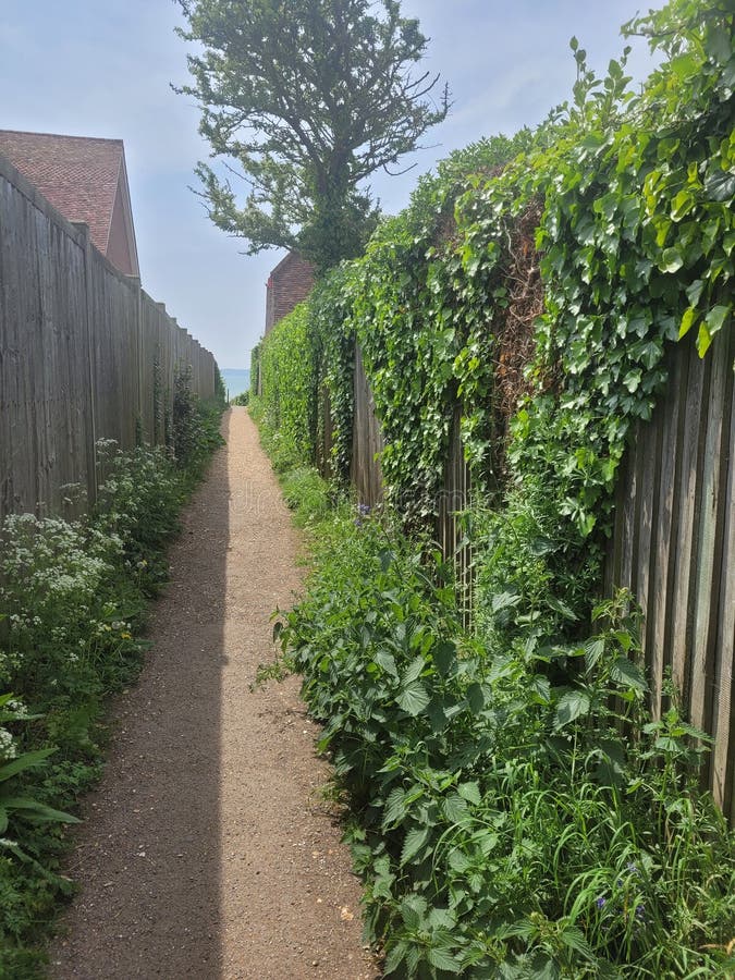 Road To Hill Head Beach Fareham Stock Photo Image of road, fareham