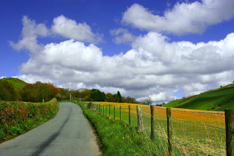 Arriba carreteras en campo verde flor lleno campo cielo azul montón nubes.