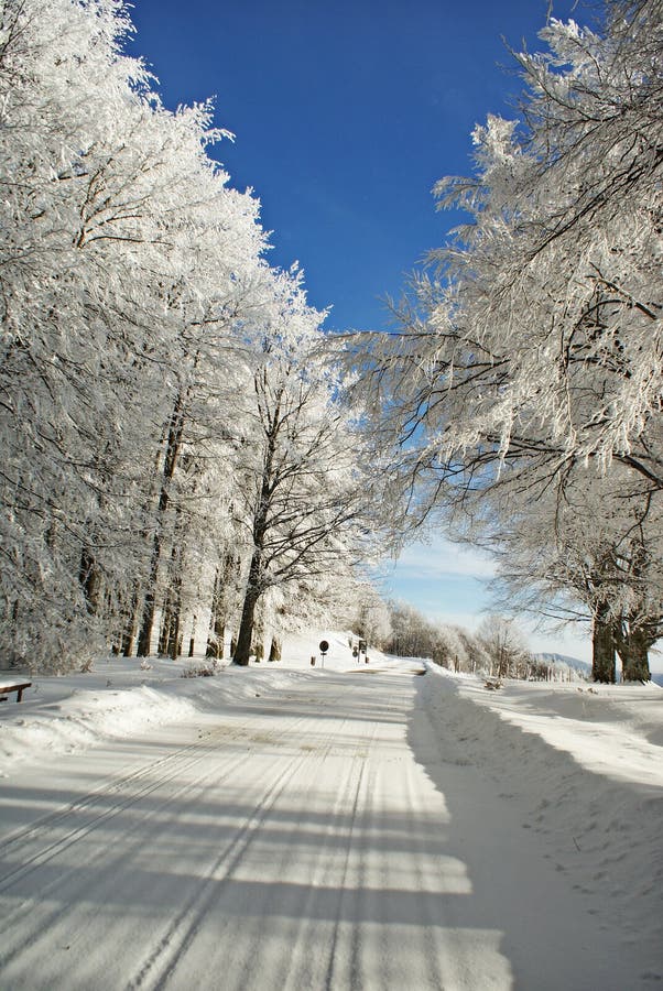 Road to a snow.