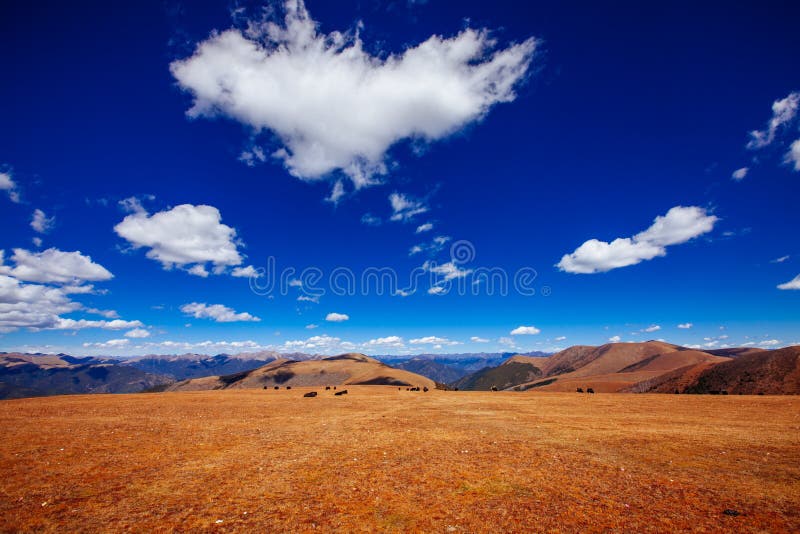 Road to tibetan mountain