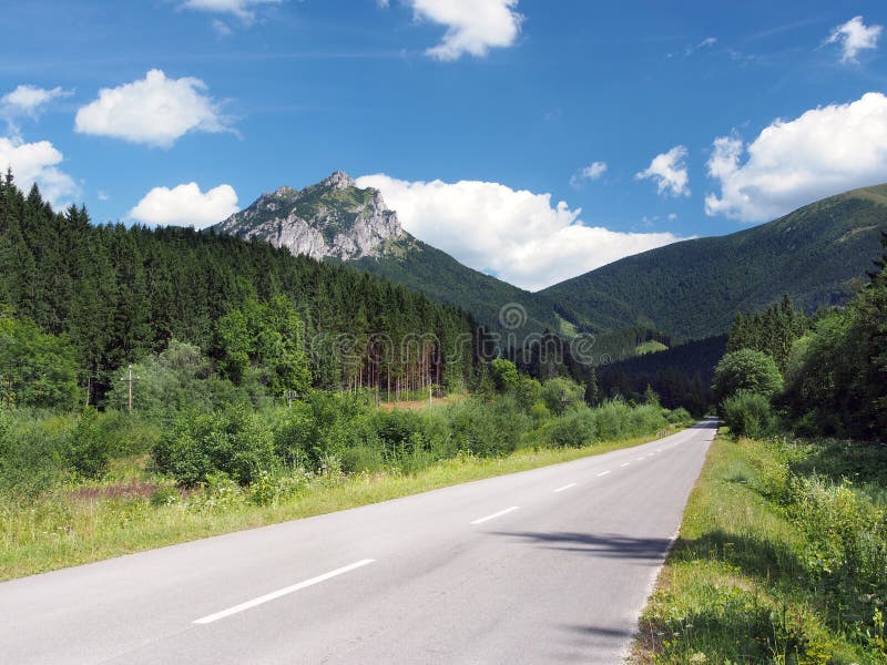 Road to Velky Rozsutec in summer