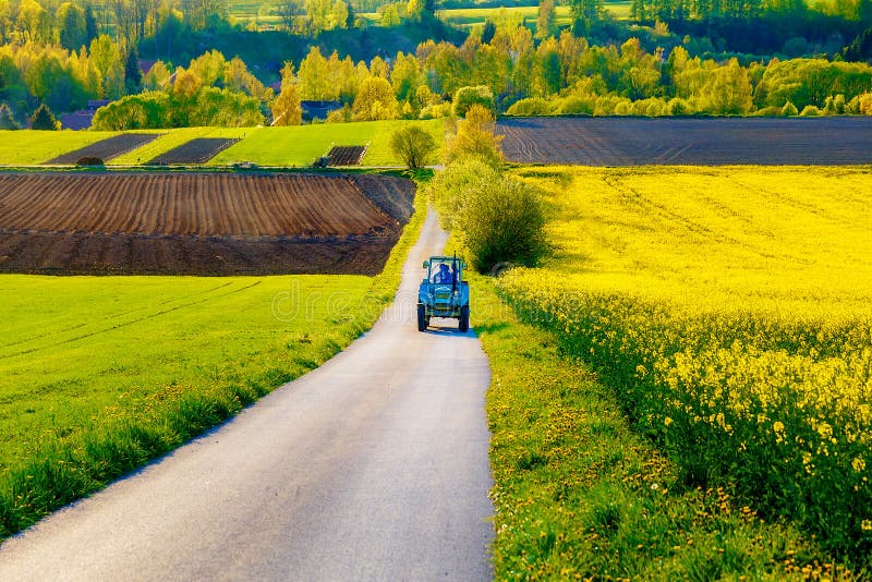 Road with tractor in a beautiful region with flower meadows and fields. Slovakia, Central Europe, Liptov.