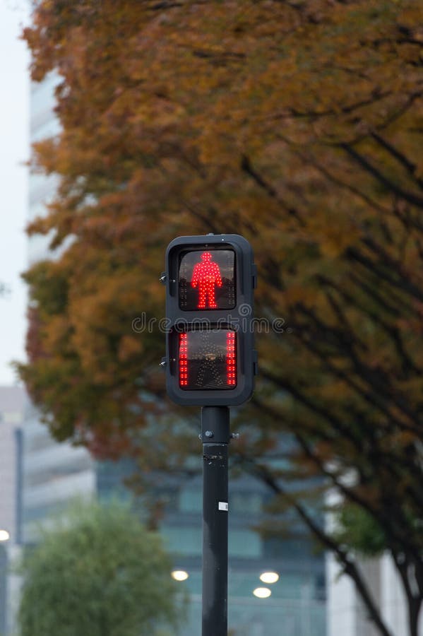 Road Traffic Lights in Japan Stock Image Image of transportation