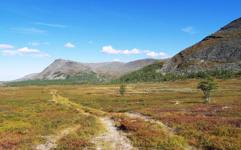 Road in tundra