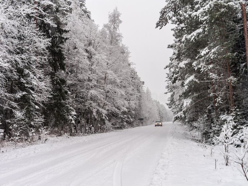 Road turn and coming car in winter forest with snowy trees