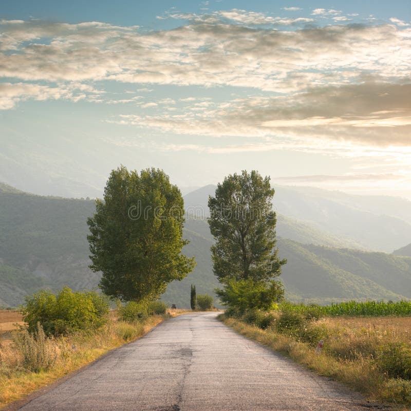 Road And Two Trees