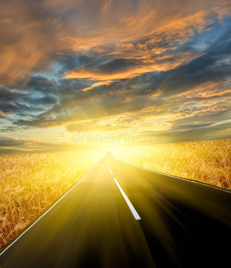 Road through the wheat field royalty free stock images Road through the wheat field royalty free stock images