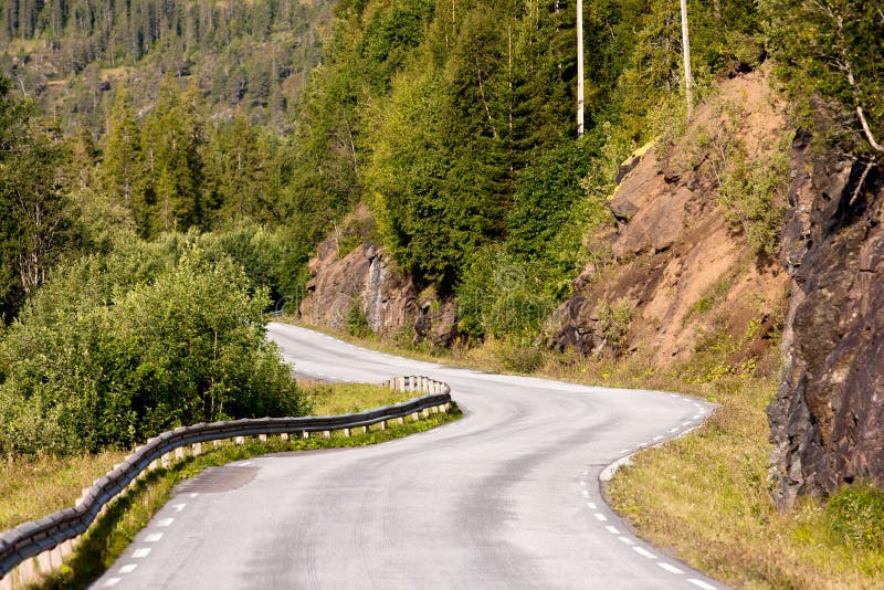 Road stock image. Image of norway, plant, travel, scandinavian 40899183