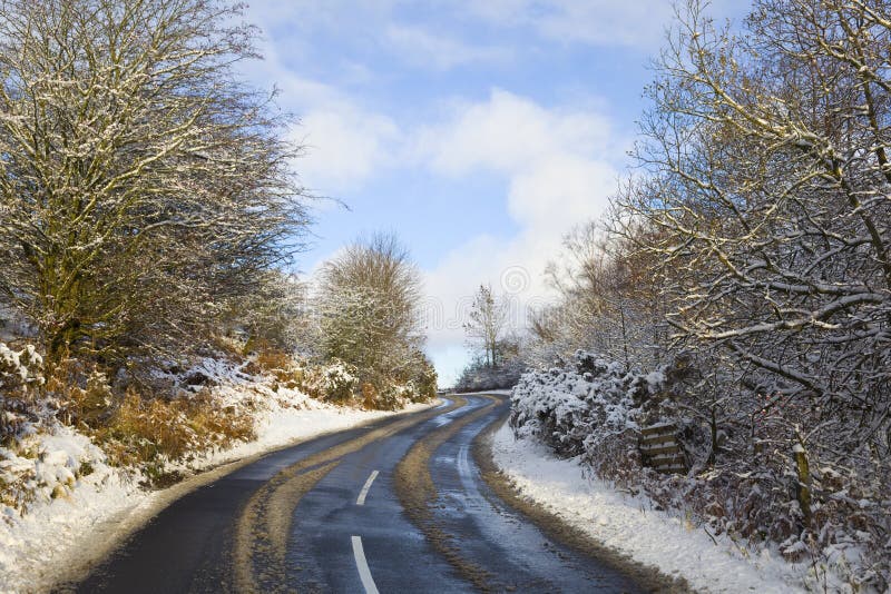 Road in winter