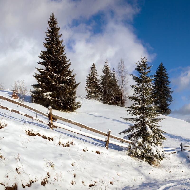 Road in winter mountains