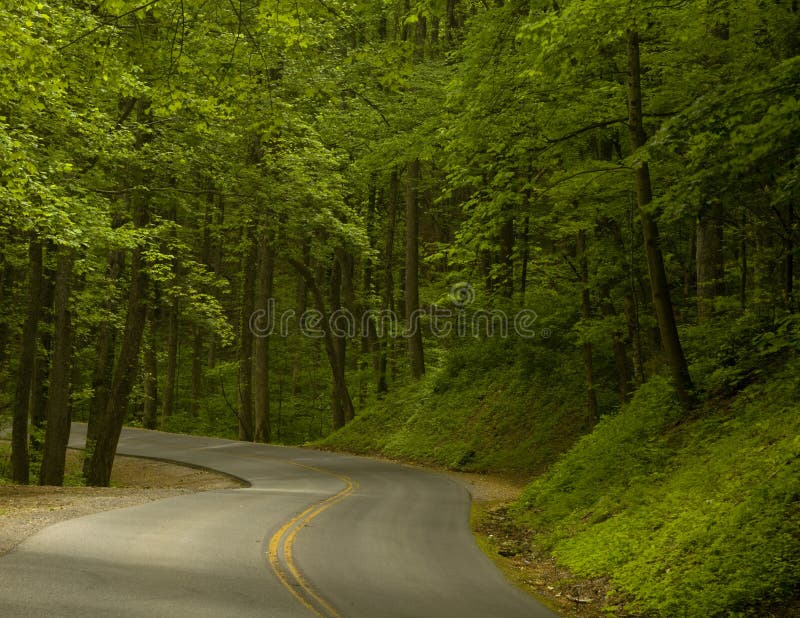 Road into the Woods stock image. Image of road, trail 27650713