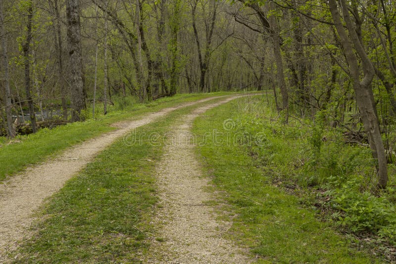 Road in Woods Spring stock photo. Image of landscape 41160424