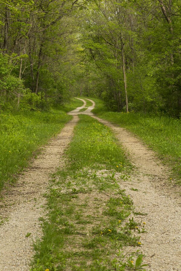 Road in Woods Spring stock photo. Image of scenery, wilderness 41160430