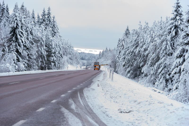 Road Worker Blocking the Road when Cutting Down Trees Stock Photo