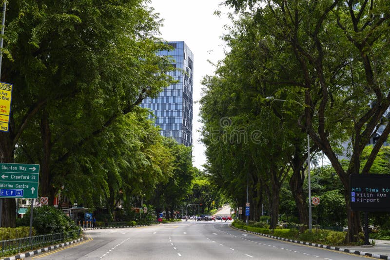Roads with Green Tree in Singapore Stock Image Image of highway