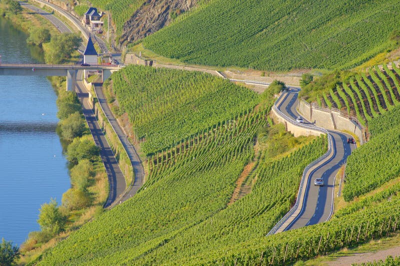 Roads in a vineyard