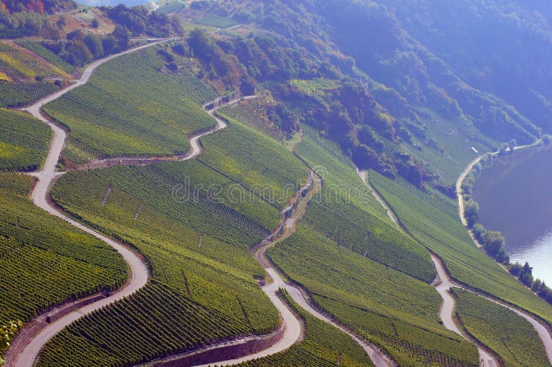 Roads in a vineyard