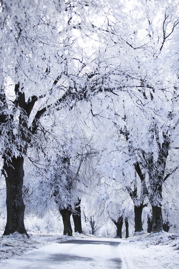 Roads in the winter landscape stock image Roads in the winter landscape stock image