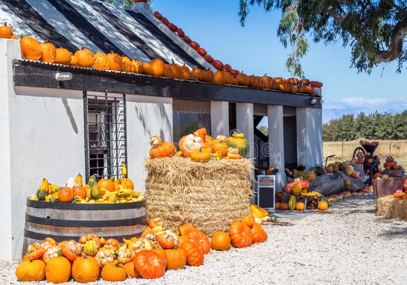 Roadside farm stall with pumpkins and vegetables. Roadside farm stall building with pumpkins and vegetables on display stock images Roadside farm stall with pumpkins and vegetables. Roadside farm stall building with pumpkins and vegetables on display stock images