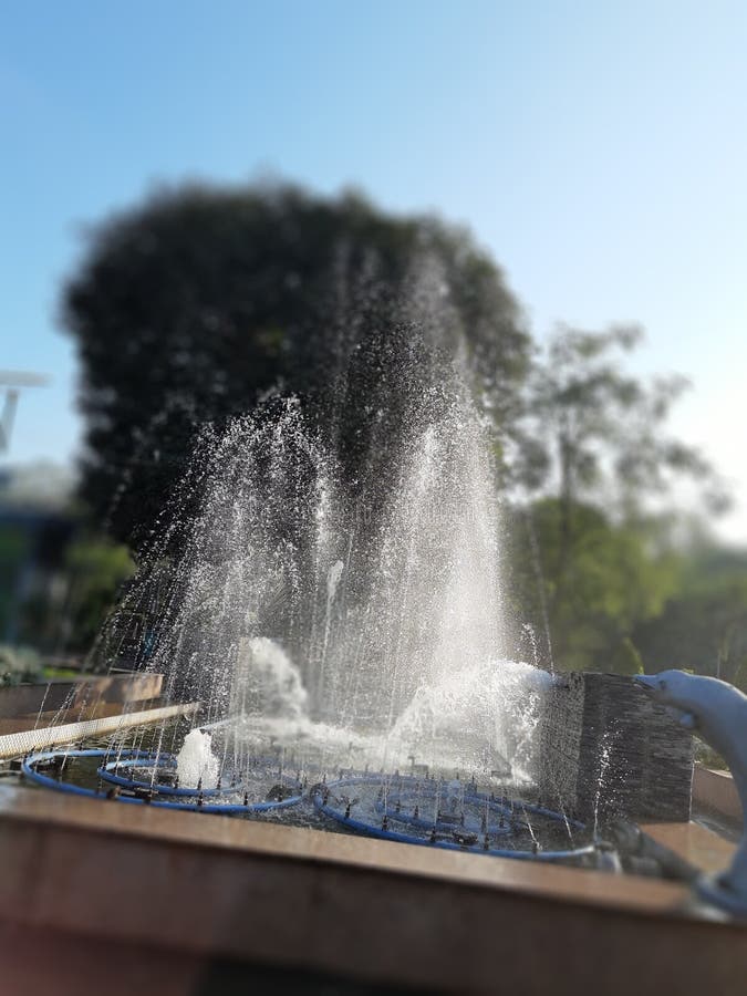 Roadside Shower with Greenery Early in the Morning. Stock Photo Image