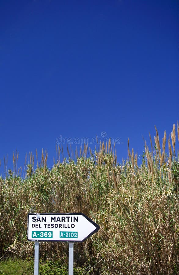 Roadsign spagnolo vicino alle canne ed ai giunchi in Spagna immagine stock libera da diritti