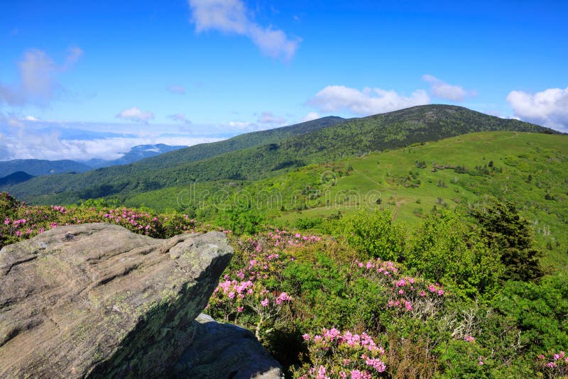 Roan Mountain Highlands North Carolina stock image Roan Mountain Highlands North Carolina stock image