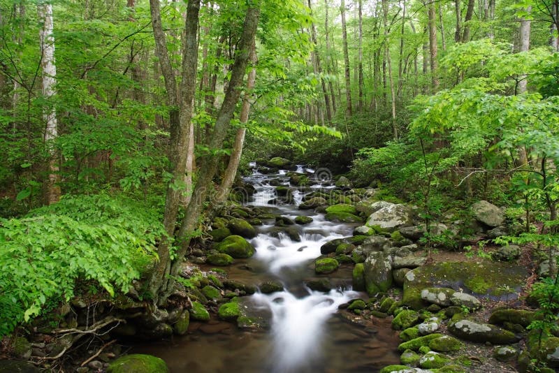 Roaring Fork