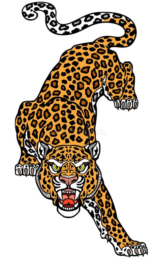 Aggressive Roaring Tiger in the Attacking Pose Stock Vector ...