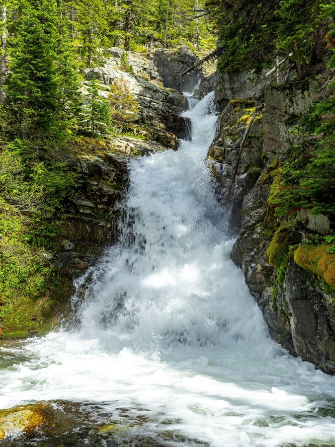 Roaring Waterfall in Glacier National Park Stock Photo Image of