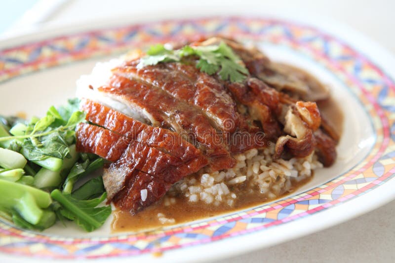 Roast duck over rice stock photo. Image of delicious 141583646