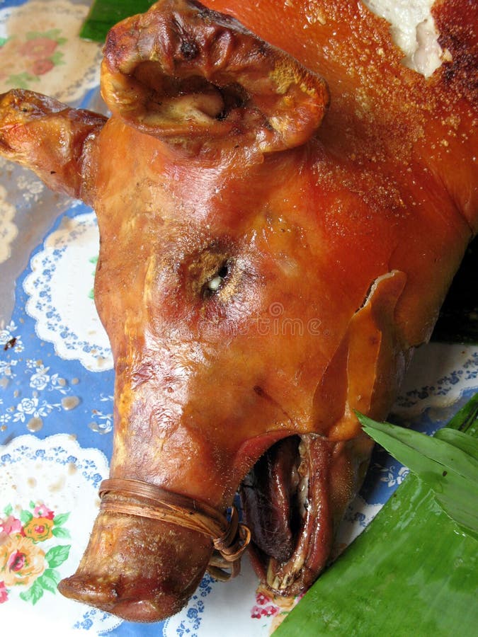 Wildpig roast stock photo. Image of garlic, food, ingredient 9585124