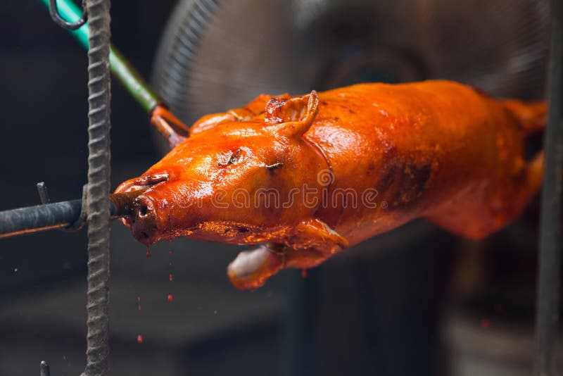 Roast pig vietnam stock image. Image of design, eating 104443637
