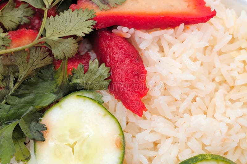 Roast pork rice stock photo. Image of culture, delicious 19945608