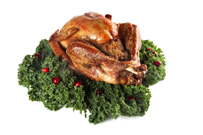 Roast turkey isolated on white background stock images Roast turkey isolated on white background stock images