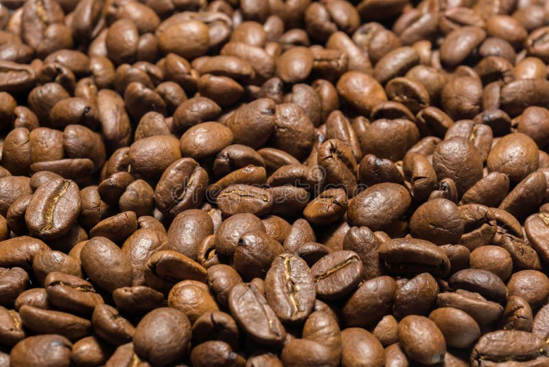 Roasted Arabica Coffee Beans Stock Image Image of background, gourmet 64472379