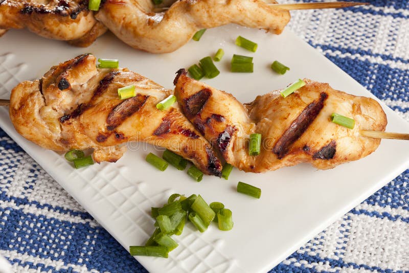 Roasted Chicken Kebab stock image. Image of fresh, meal 27719113