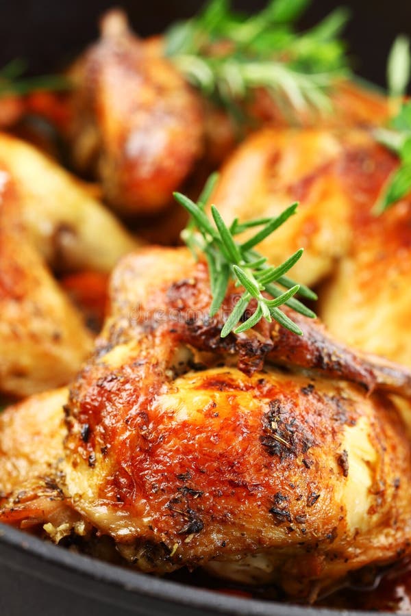 Roasted chicken with vegetable royalty free stock photos Roasted chicken with vegetable royalty free stock photos