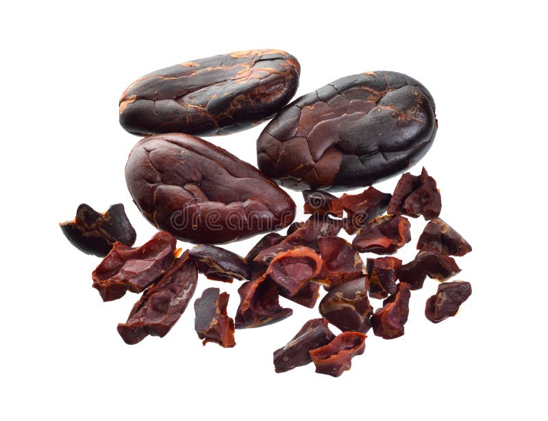 Roasted cocoa beans isolated on white background. Full dept of field