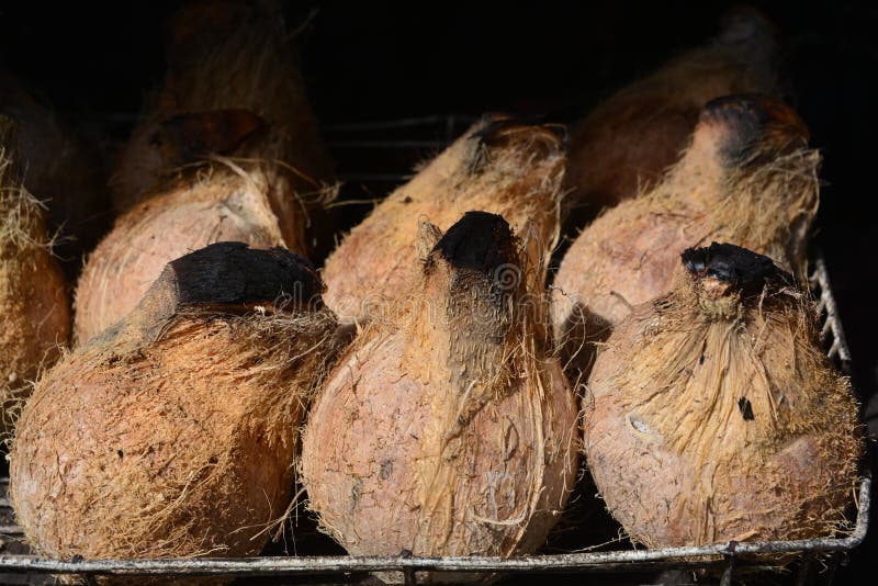 Roasted Coconut, Coconut Burn Stock Image Image of juicy, isolated