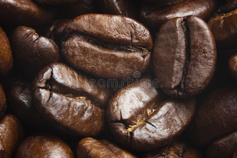 Roasted coffee beans