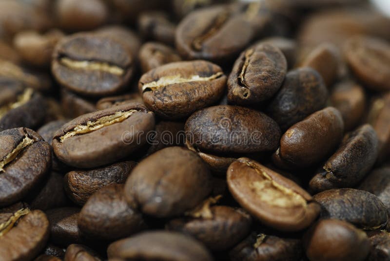 Roasted coffee beans stock photo. Image of brew, beans 1498432