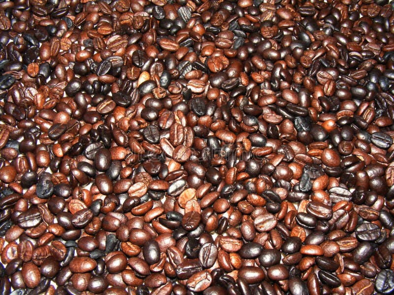 Roasted Coffee Beans stock photo. Image of beans, background 5309492