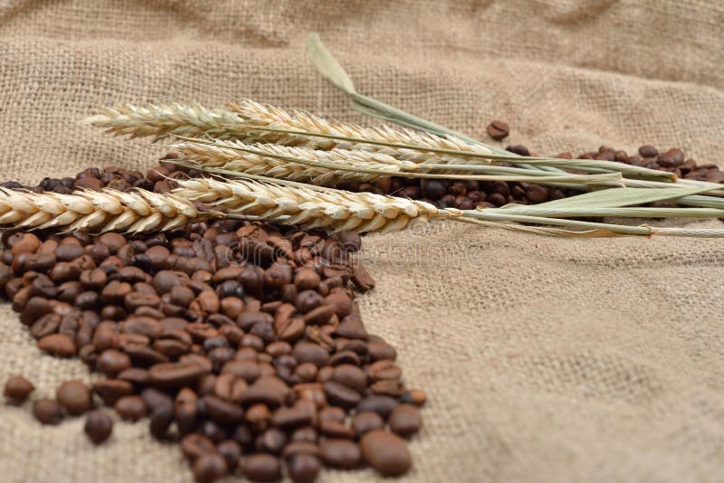 Roasted Coffee Beans On Brown Jute Background, With ...