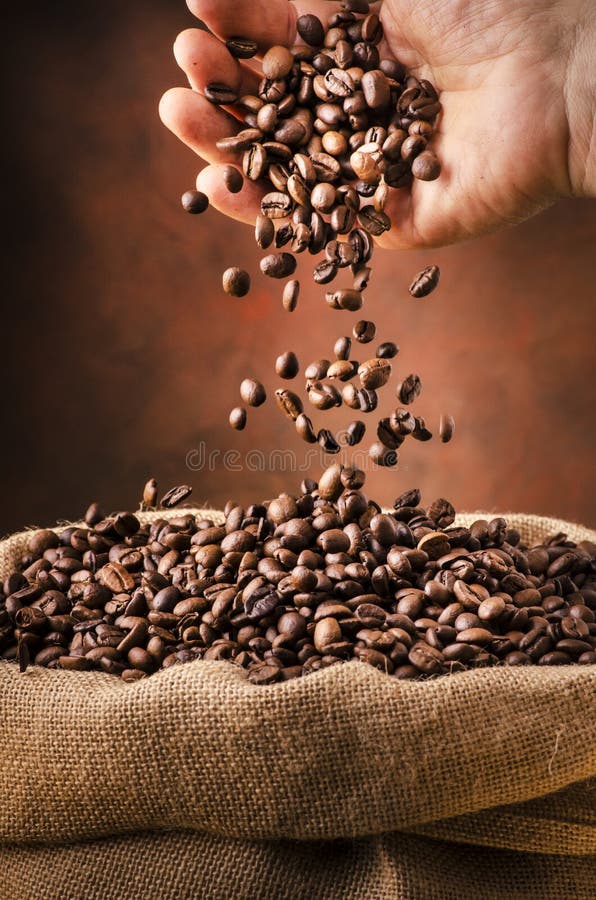 Roasted coffee beans dropped from a hand