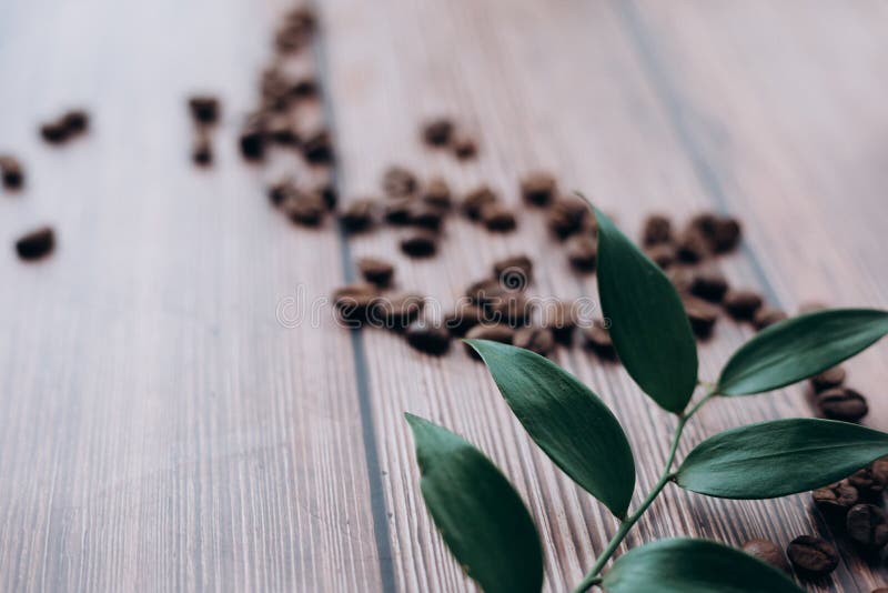 Coffee Beans and Green Leaf. Stock Image - Image of view, leaf: 214849709